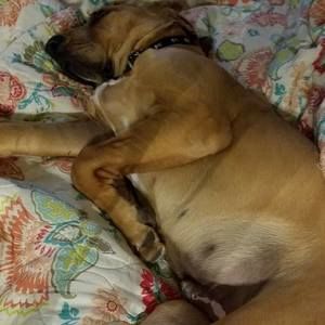 Meet your Posher, Tracy